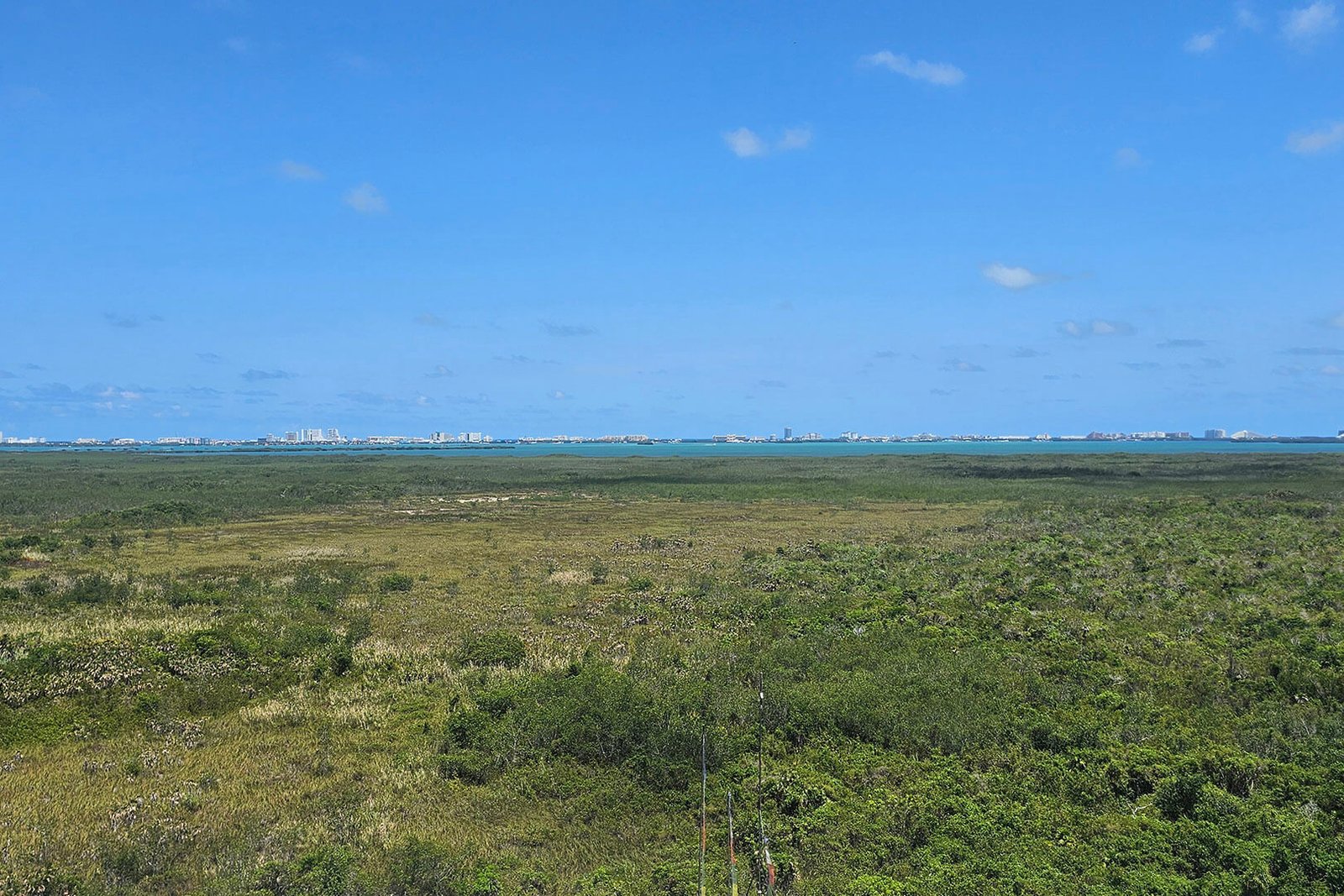 Vistas