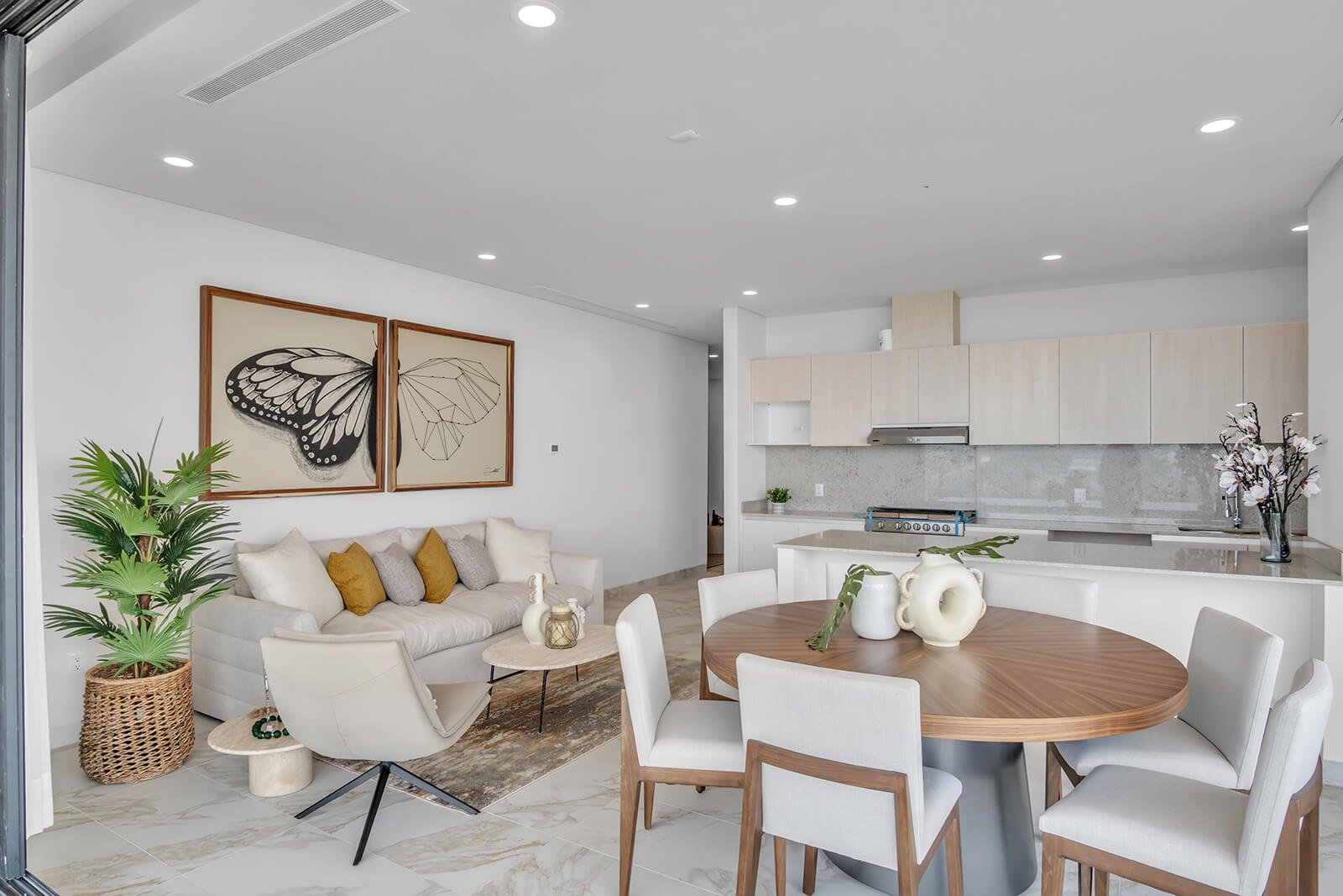 Sala / Comedor / Cocina