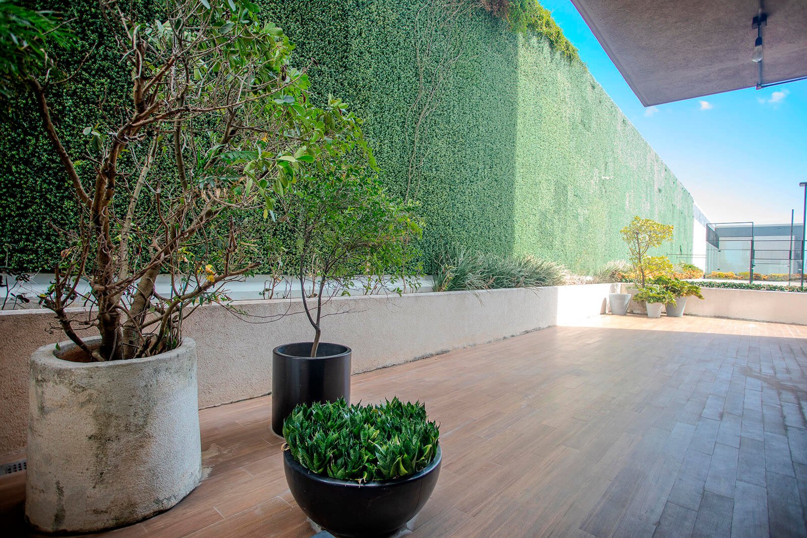 Terraza