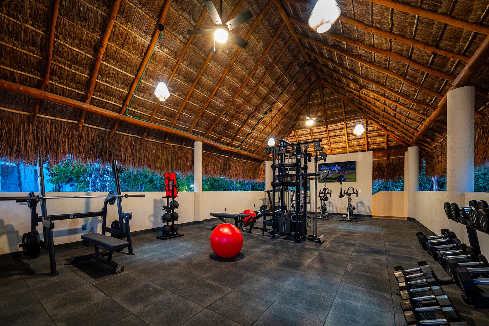 Amenidades - Gym