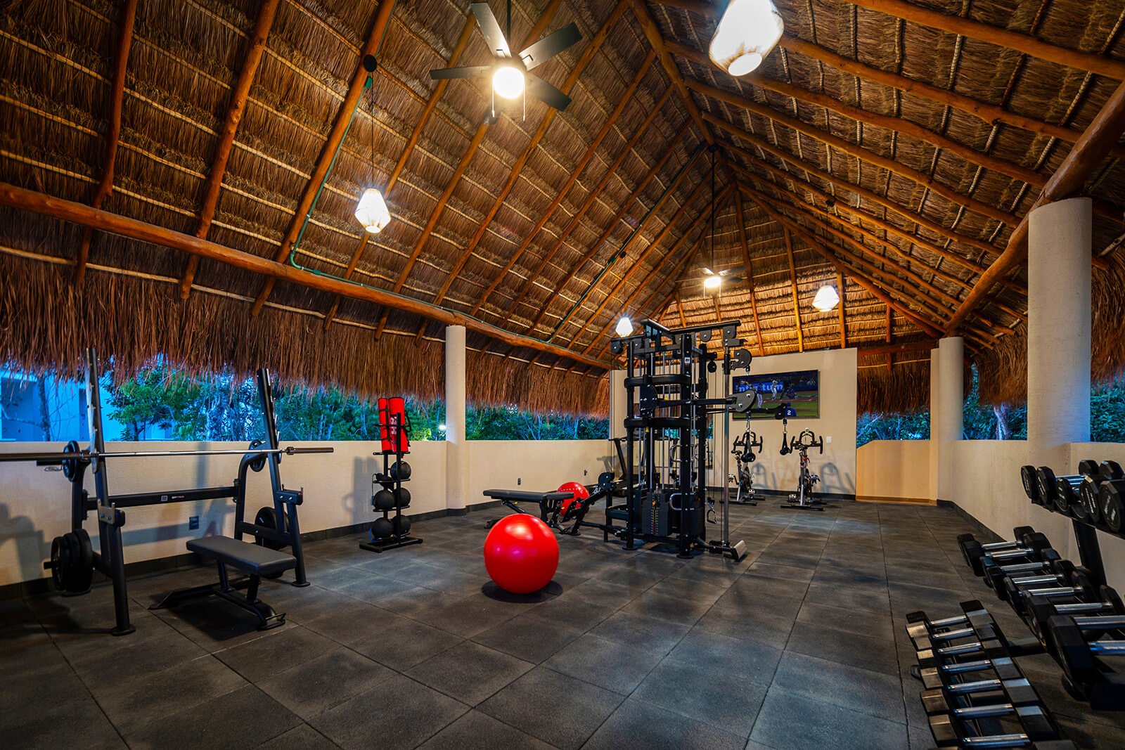 Amenidades - Gym
